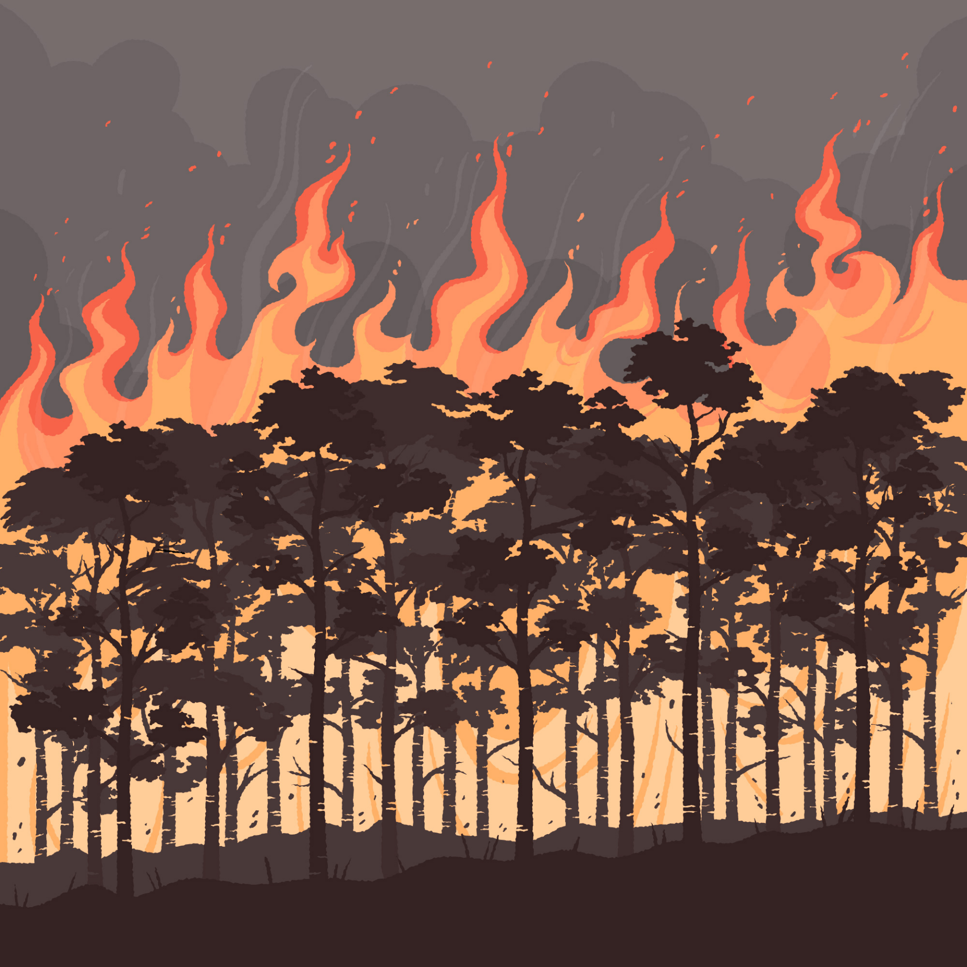 feux forêt